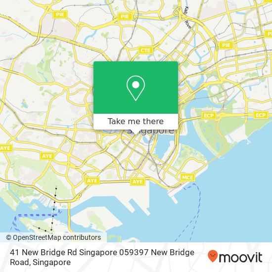 41 New Bridge Rd Singapore 059397 New Bridge Road map