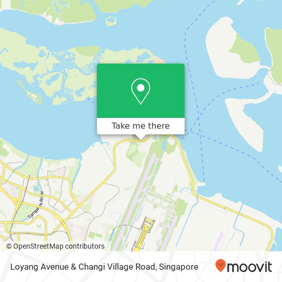 Loyang Avenue & Changi Village Road map