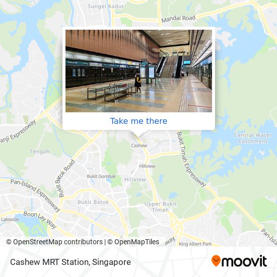 Cashew MRT Station地图