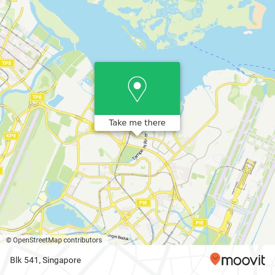 Blk 541 map