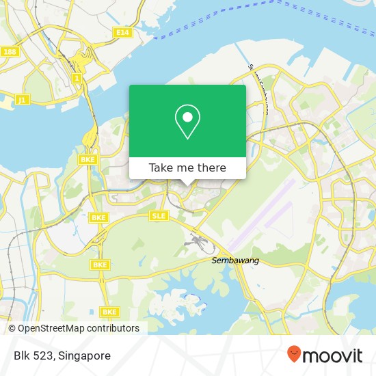 Blk 523 map