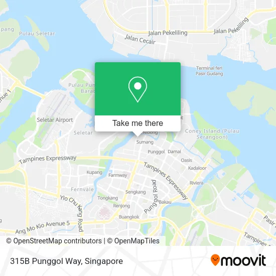 315B Punggol Way map