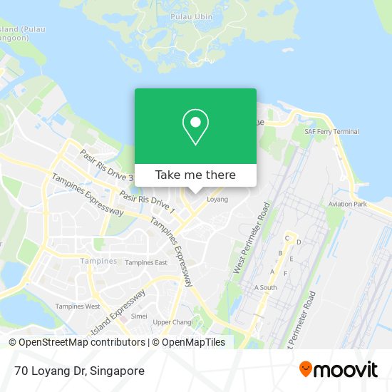 70 Loyang Dr map
