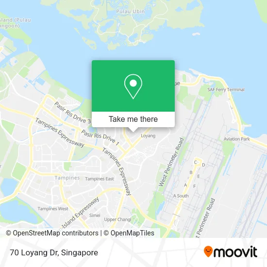 70 Loyang Dr map