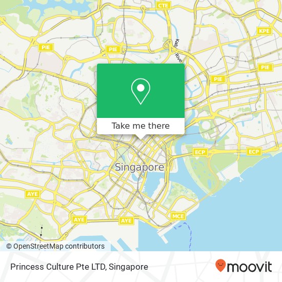 Princess Culture Pte LTD map