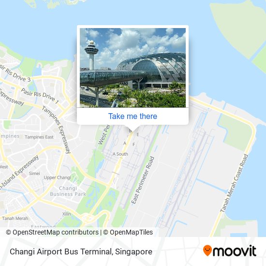 Changi Airport Bus Terminal map