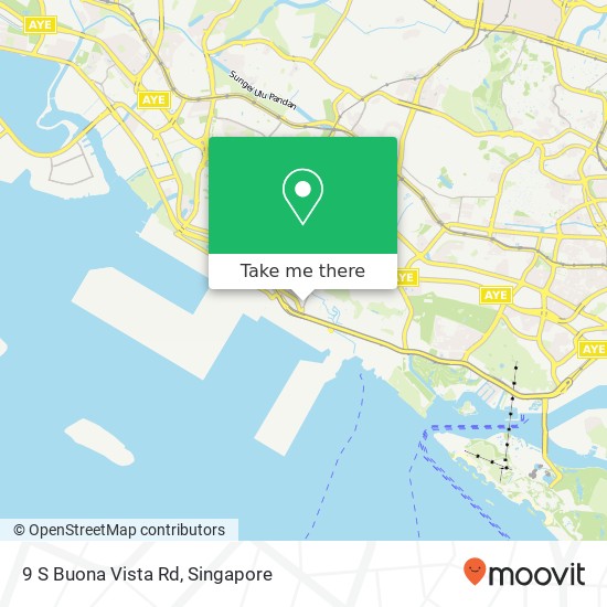 9 S Buona Vista Rd map