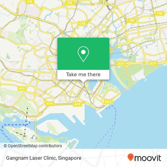 Gangnam Laser Clinic map