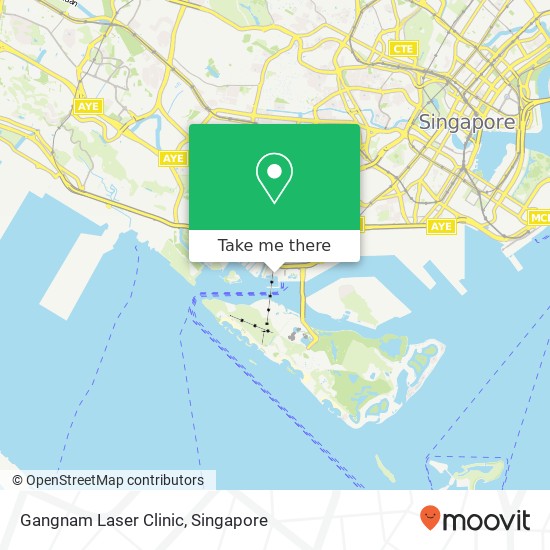 Gangnam Laser Clinic map