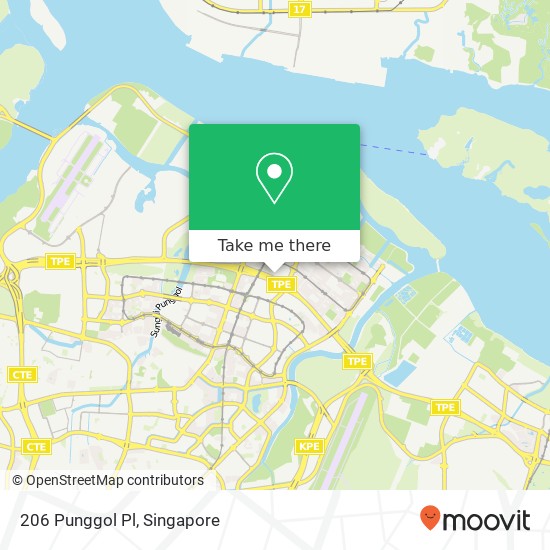 206 Punggol Pl map