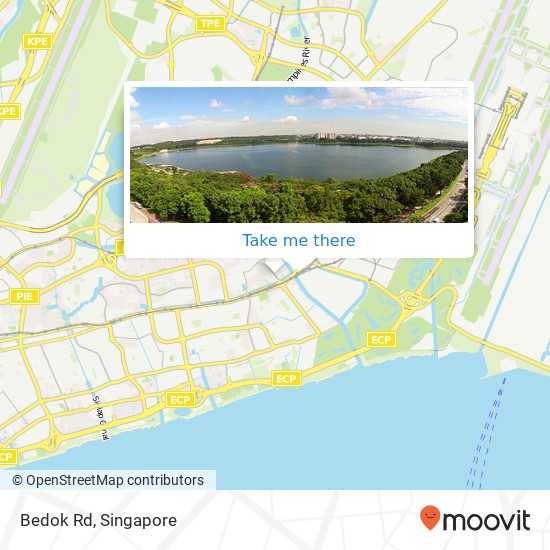 Bedok Rd地图