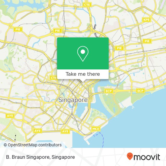 B. Braun Singapore地图