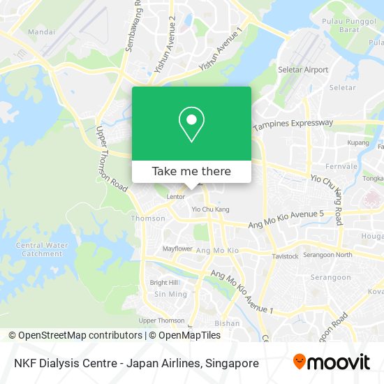 NKF Dialysis Centre - Japan Airlines地图