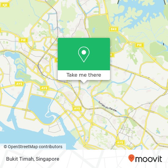 Bukit Timah map