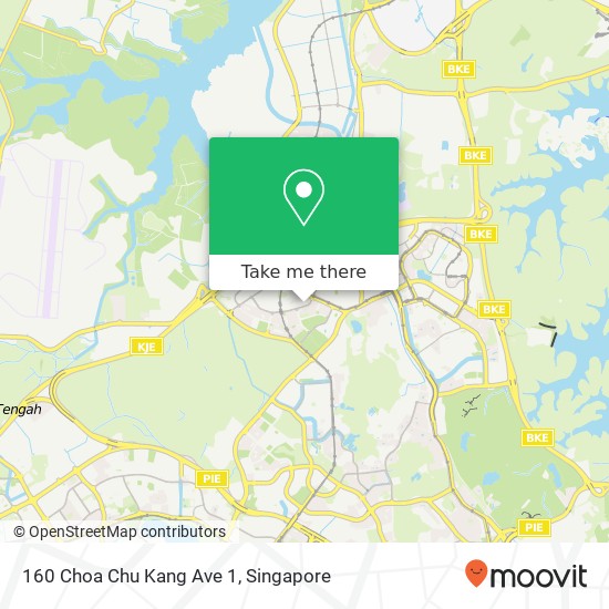 160 Choa Chu Kang Ave 1 map