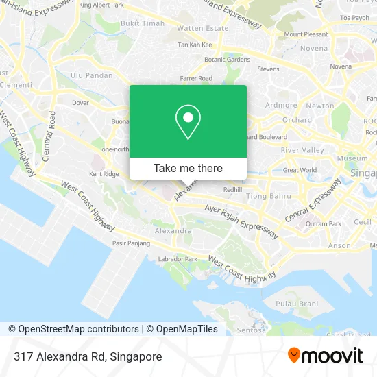 317 Alexandra Rd地图