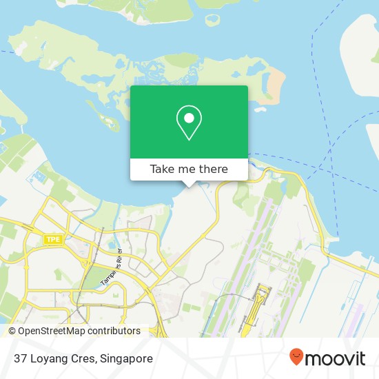 37 Loyang Cres map