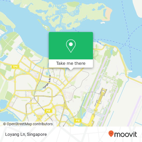 Loyang Ln map