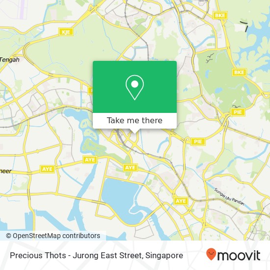 Precious Thots - Jurong East Street map