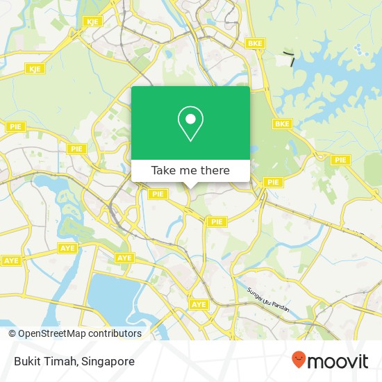 Bukit Timah map