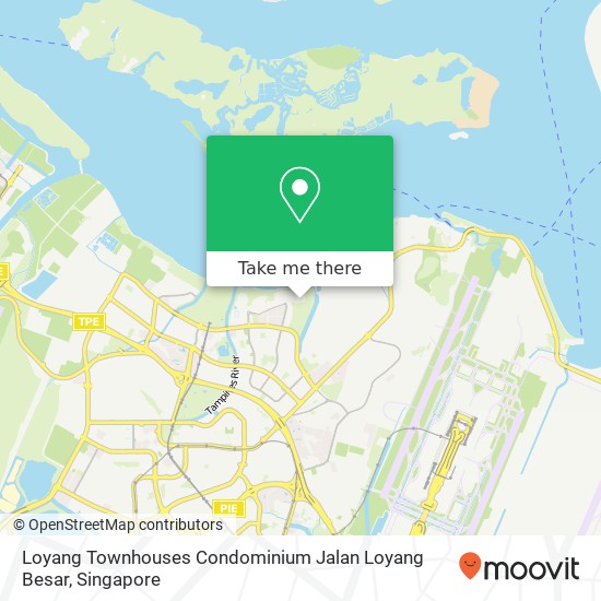 Loyang Townhouses Condominium Jalan Loyang Besar地图