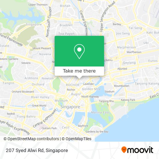 207 Syed Alwi Rd map
