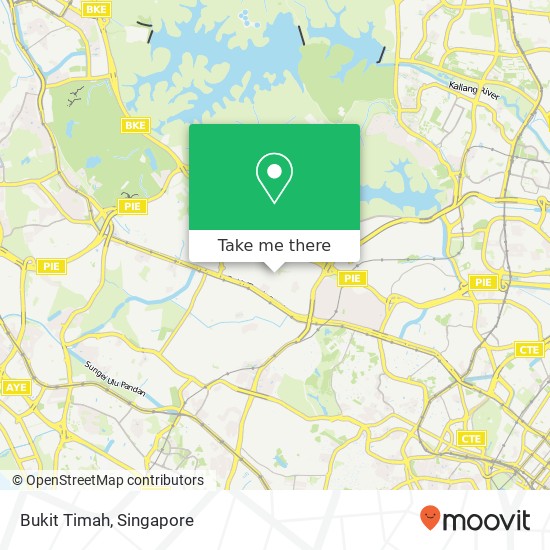 Bukit Timah map