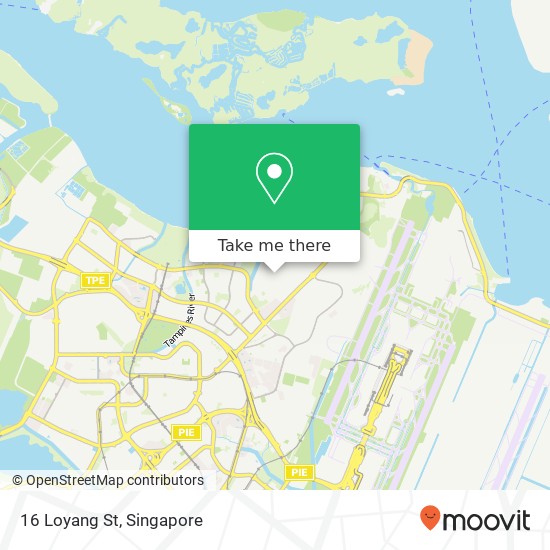 16 Loyang St地图