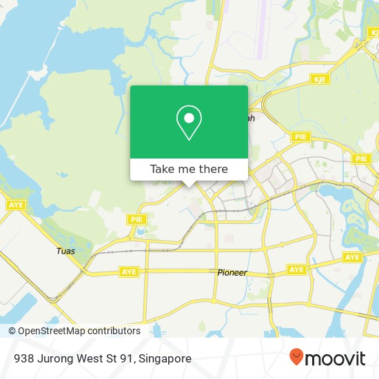 938 Jurong West St 91 map