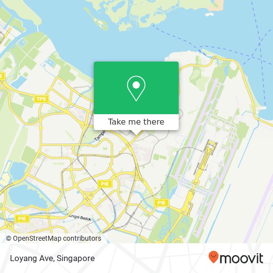 Loyang Ave map