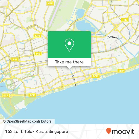 163 Lor L Telok Kurau地图