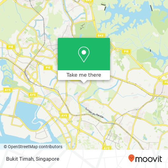 Bukit Timah地图