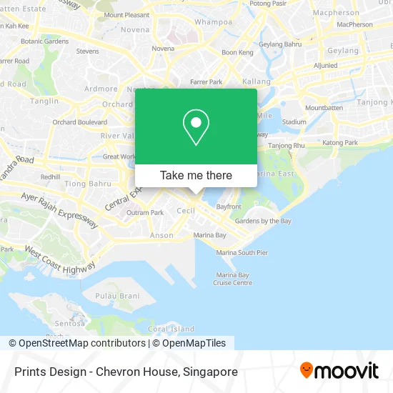Prints Design - Chevron House map