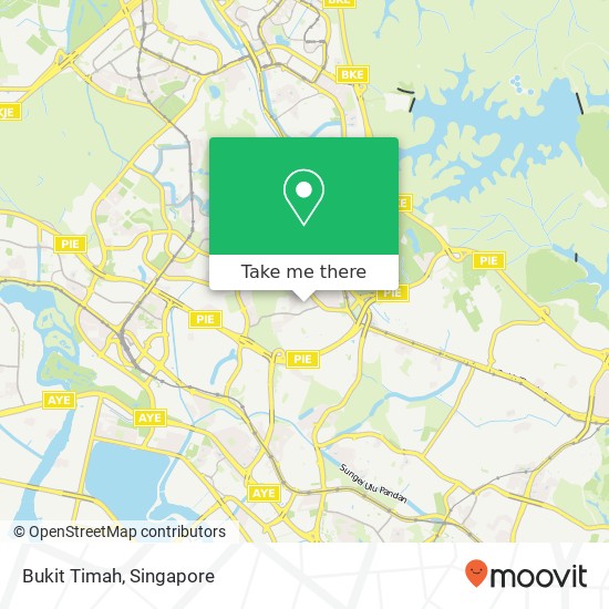 Bukit Timah map