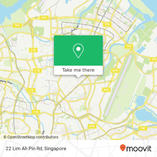 22 Lim Ah Pin Rd map