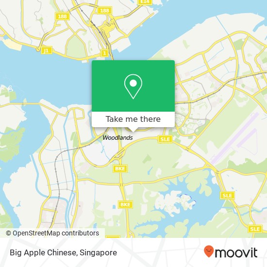 Big Apple Chinese map