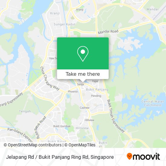 Jelapang Rd / Bukit Panjang Ring Rd地图