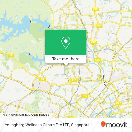 Youngberg Wellness Centre Pte LTD map