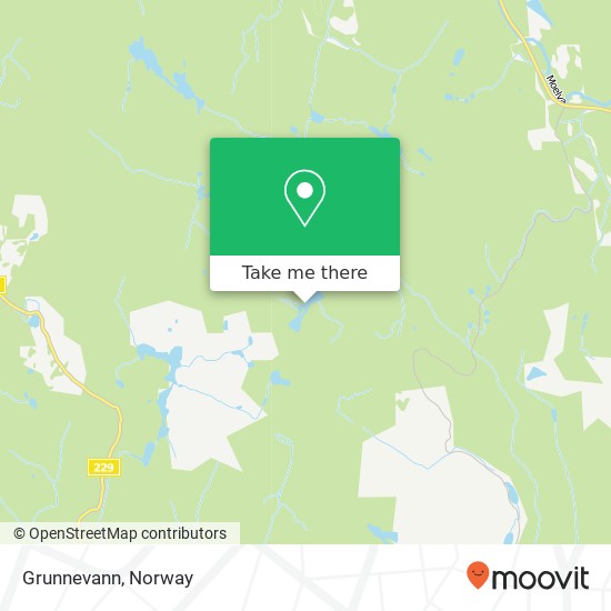 Grunnevann map