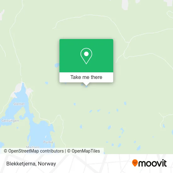 Blekketjerna map