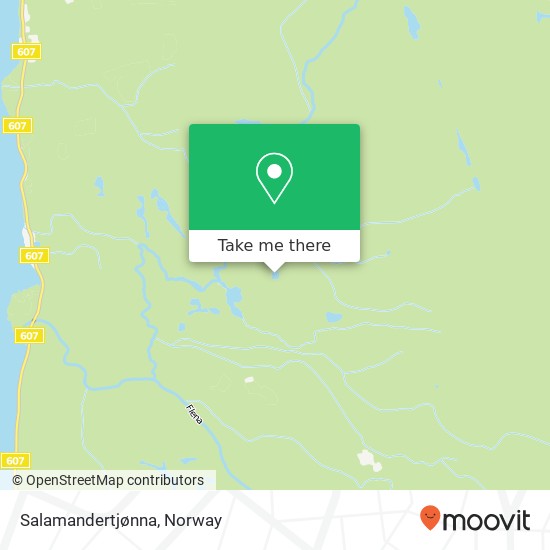 Salamandertjønna map