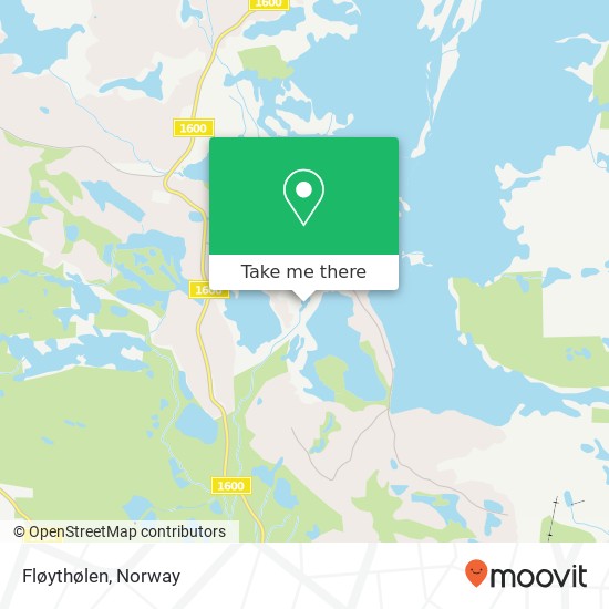 Fløythølen map