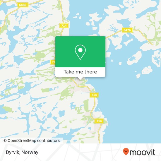 Dyrvik map