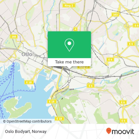 Oslo Bodyart map
