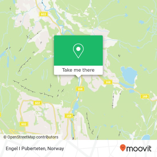 Engel I Puberteten map