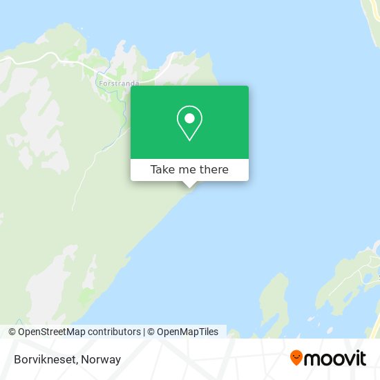 Borvikneset map
