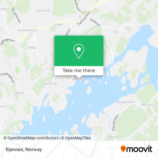 Bjønnes map