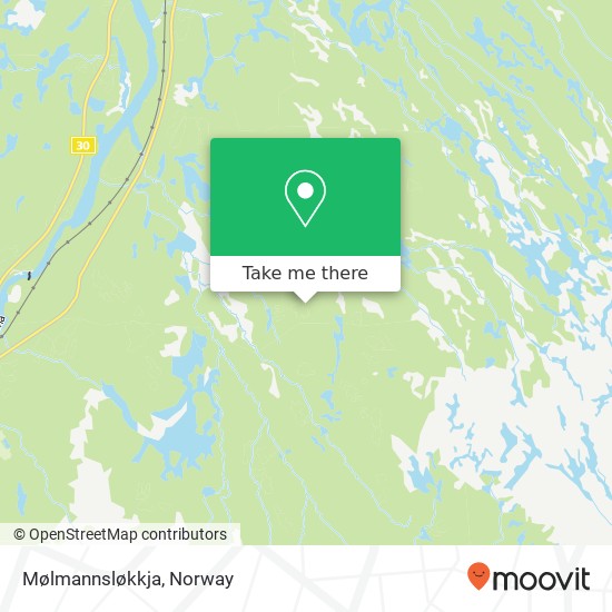Mølmannsløkkja map