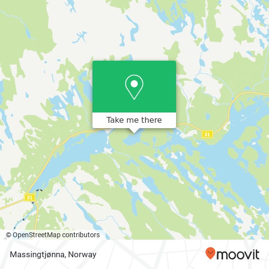 Massingtjønna map