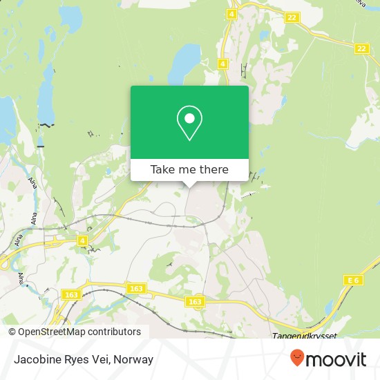 Jacobine Ryes Vei map